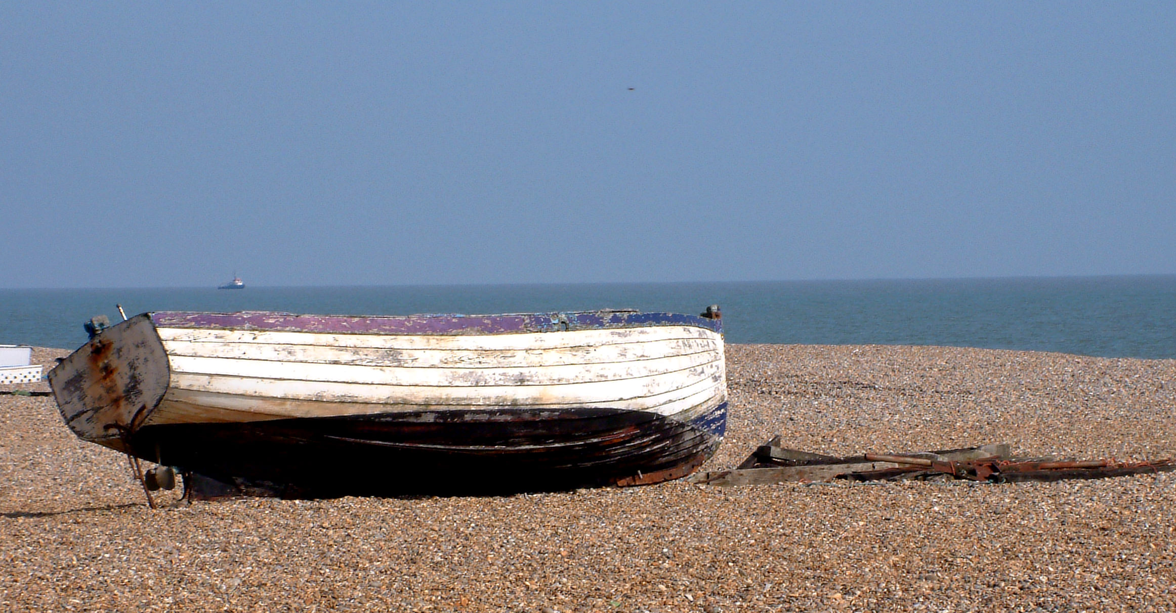the open boat discussion questions and answers