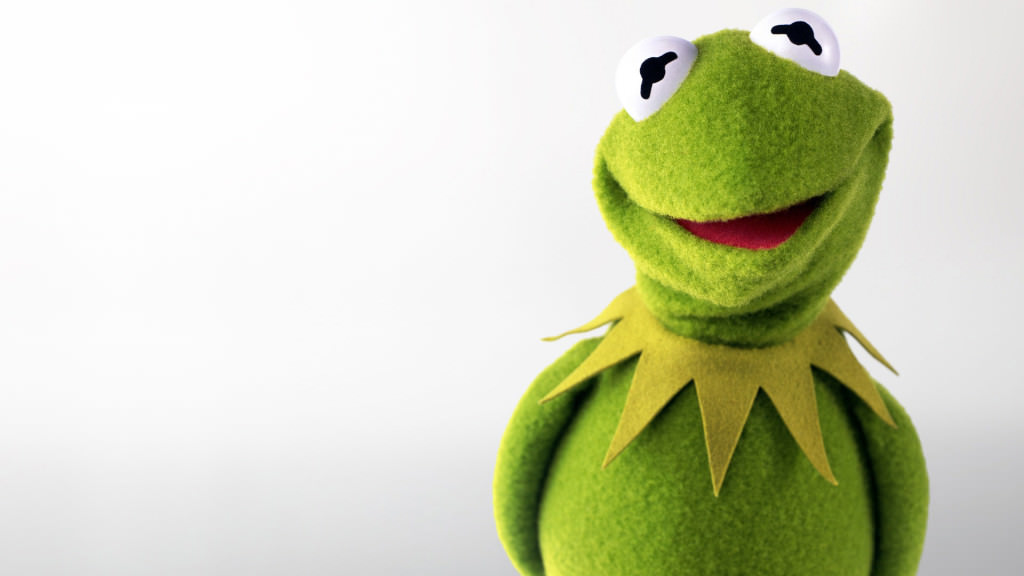 Kermit the Frog's Guide to Knowing Nothing