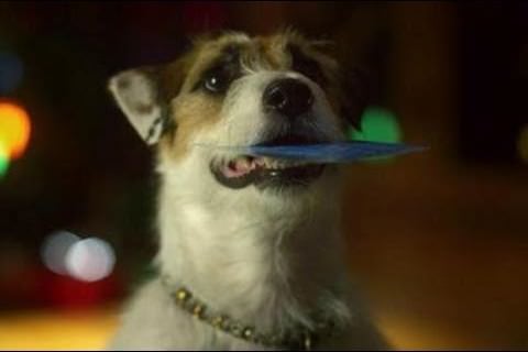 Behind the Scenes of the Virginia Lottery “Holiday Dog” Commercial (Video)